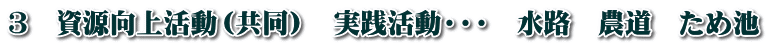 3　資源向上活動（共同）　実践活動・・・　水路　農道　ため池