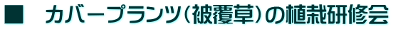 ■ カバープランツ(被覆草)の植栽研修会