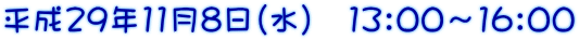 平成29年11月8日(水) 13:00~16:00